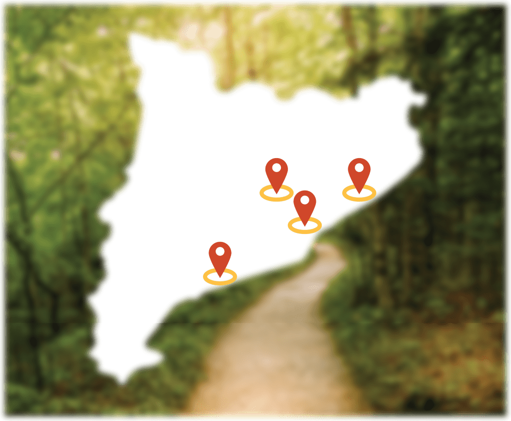 las 4 escuelas de gestalt Catalunya